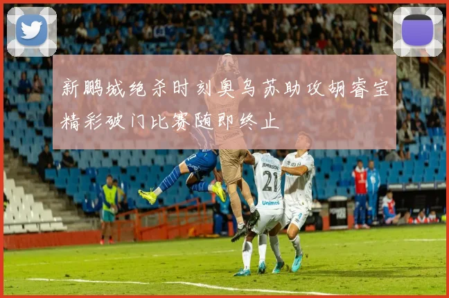 新鹏城绝杀时刻奥乌苏助攻胡睿宝精彩破门比赛随即终止