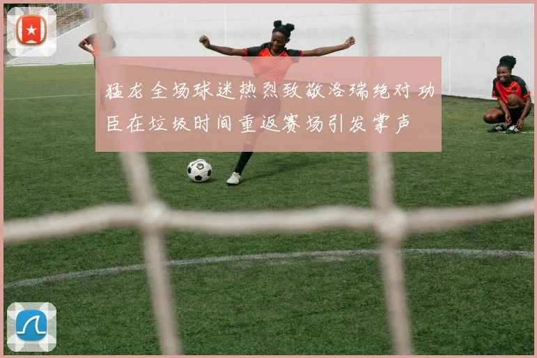 猛龙全场球迷热烈致敬洛瑞绝对功臣在垃圾时间重返赛场引发掌声